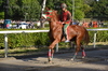 Immagine <b>REG_9314</b>